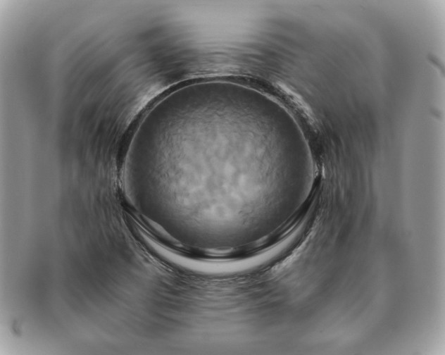 X0000091201457200708161603