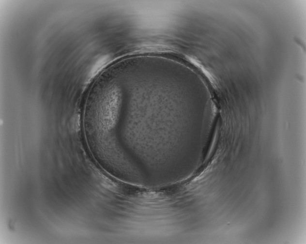 X0000091201459200708161603