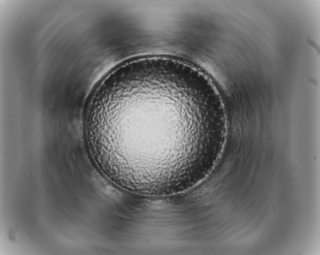 X0000091201460200708161603