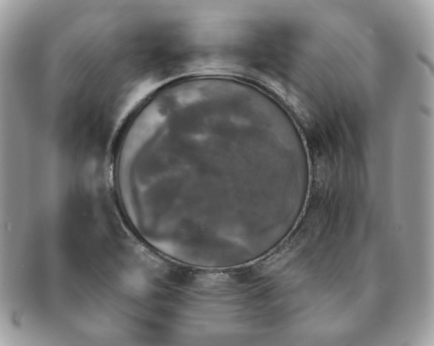 X0000091201462200708161603