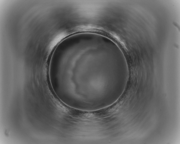 X0000091201463200708161603