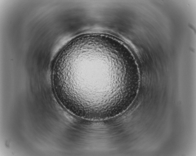 X0000091201464200708161603