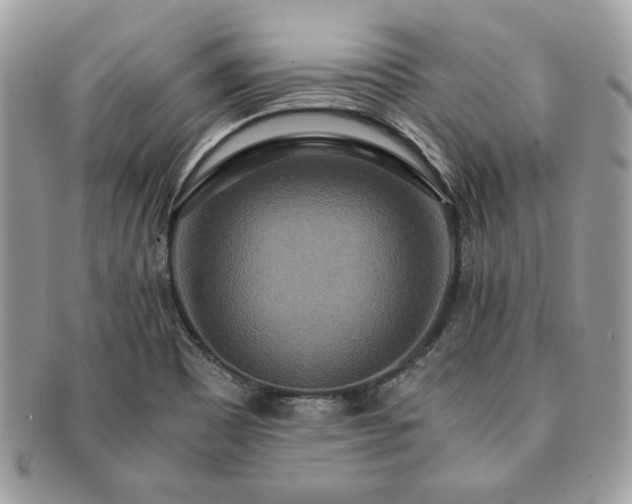 X0000091201465200708161603