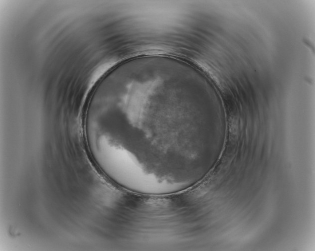 X0000091201466200708161603