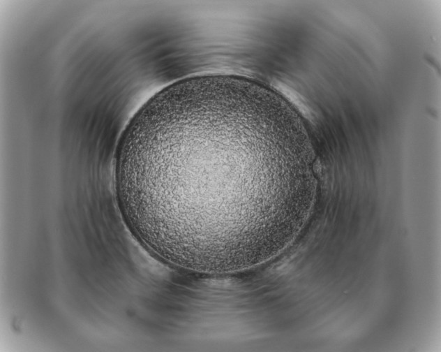X0000091201468200708161603