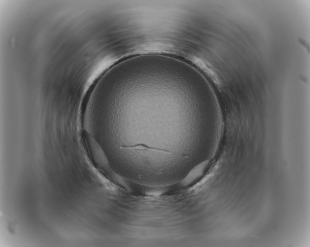 X0000091201469200708161603