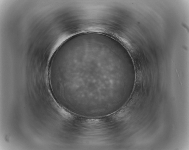 X0000091201470200708161603