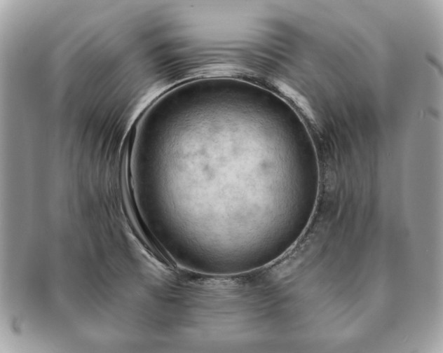 X0000091201473200708161603