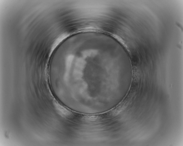 X0000091201474200708161603