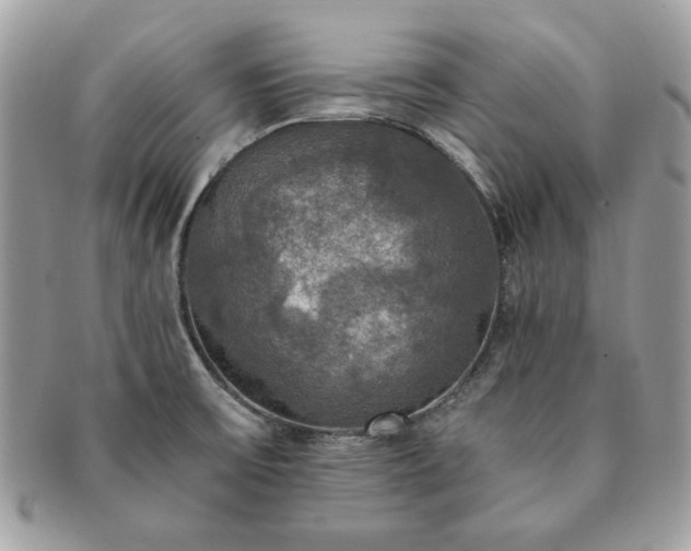 X0000091201475200708161603