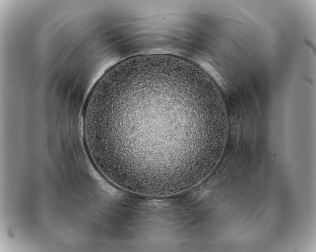 X0000091201476200708161603