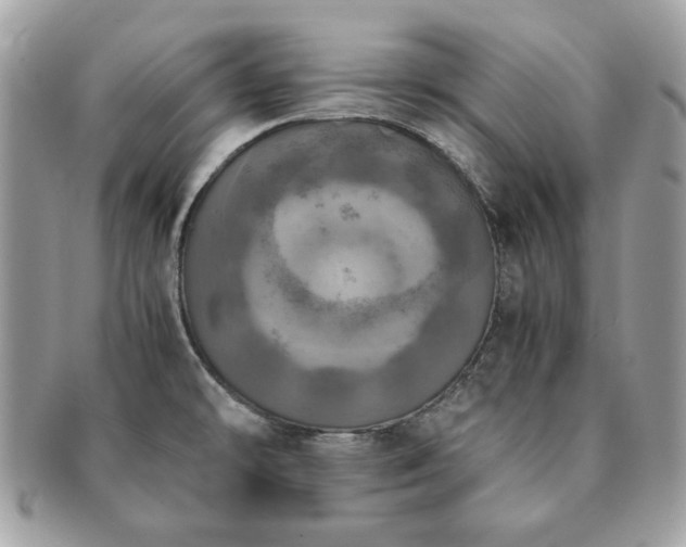 X0000091201478200708161603
