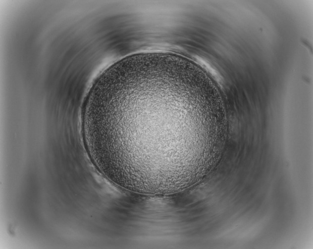 X0000091201480200708161603