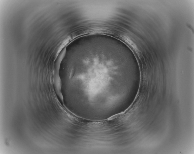 X0000091201481200708161603