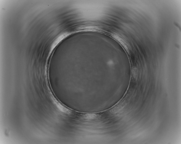 X0000091201482200708161603