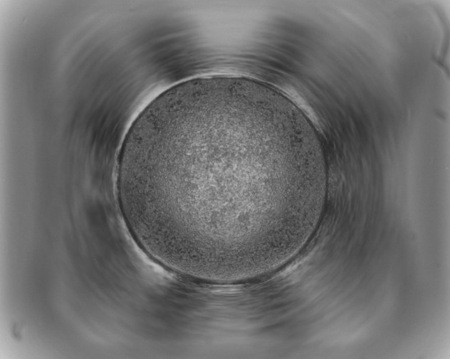 X0000091201484200708161603