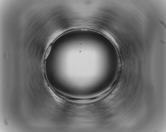 X0000091201485200708161603