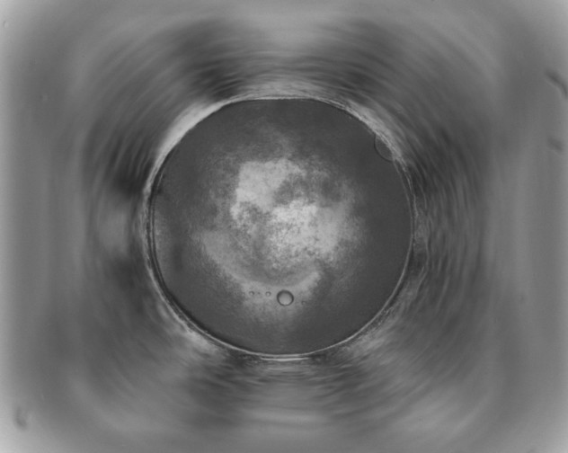 X0000091201486200708161603