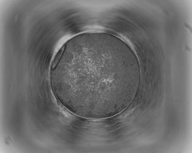 X0000091201488200708161603