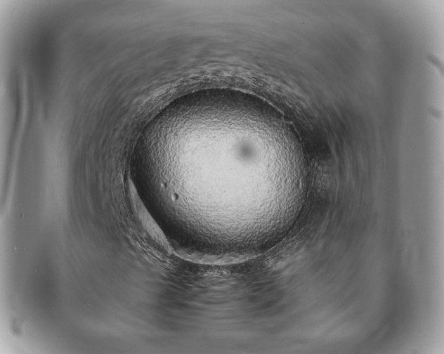 X0000091201489200708161602