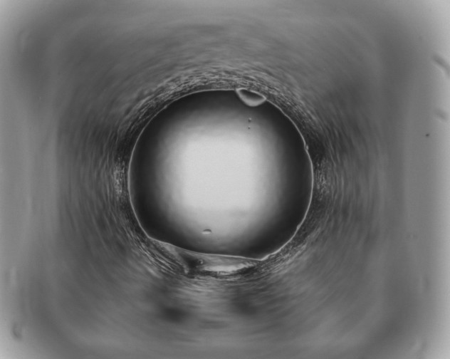 X0000091201490200708161602