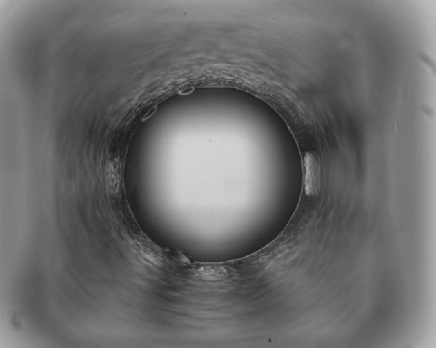 X0000091201491200708161602