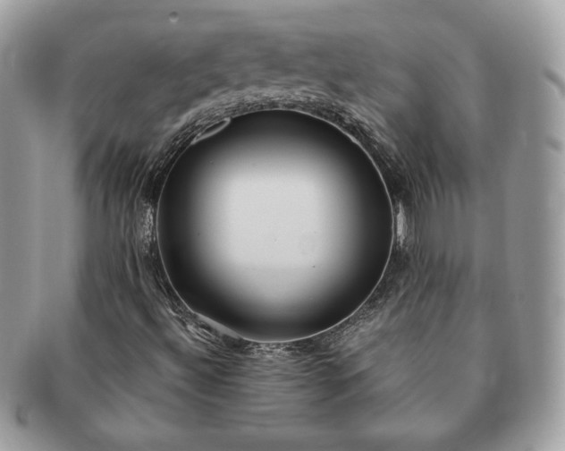 X0000091201492200708161602
