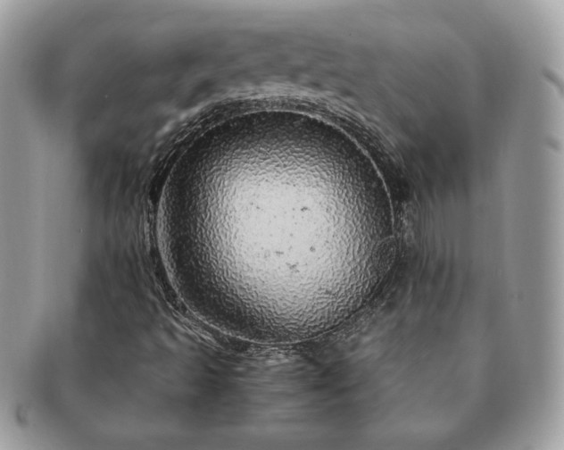 X0000091201493200708161602
