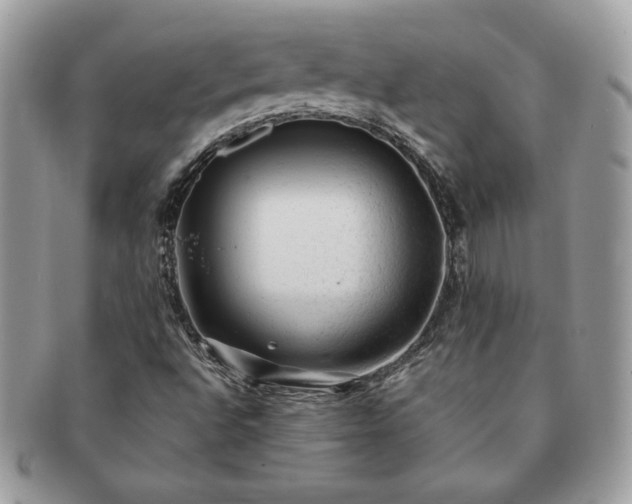 X0000091201496200708161602
