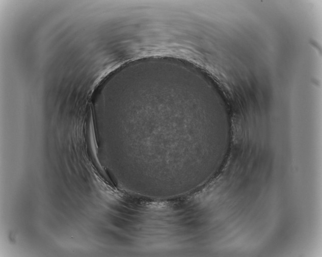 X0000091201497200708161602