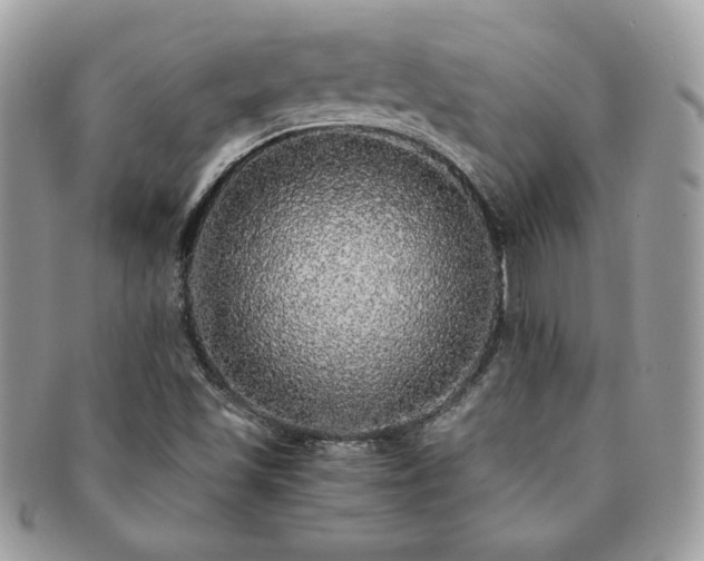 X0000091201501200708161602