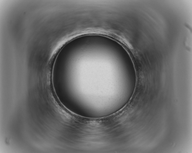 X0000091201504200708161602