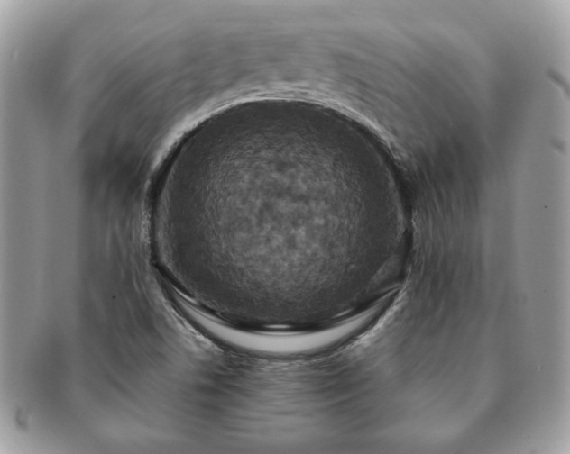 X0000091201506200708161602