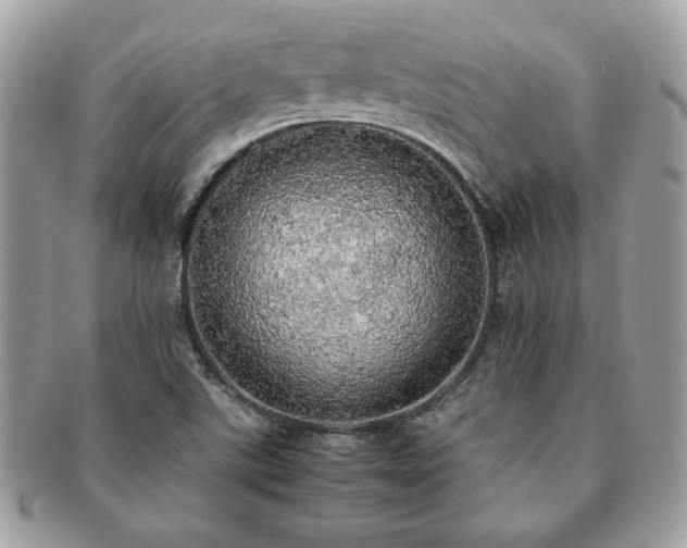 X0000091201507200708161602
