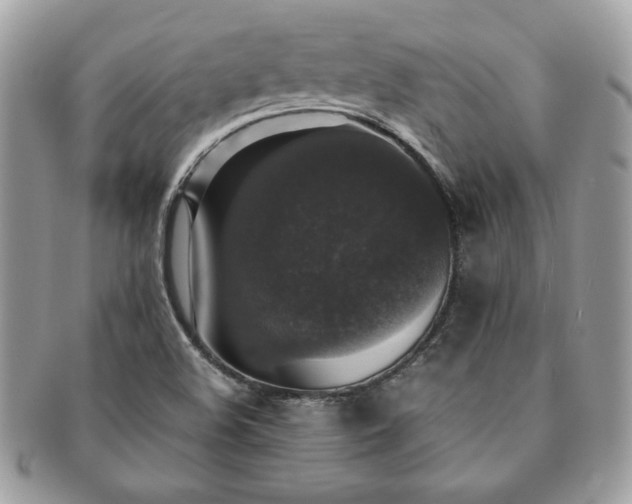 X0000091201508200708161602