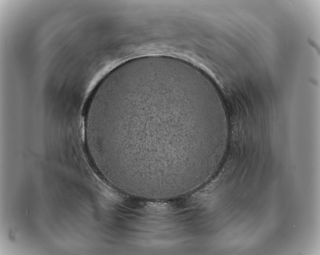 X0000091201509200708161602