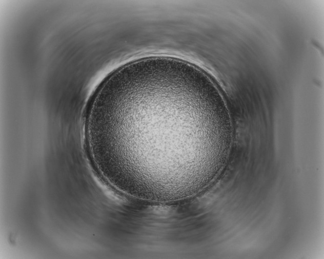 X0000091201511200708161602