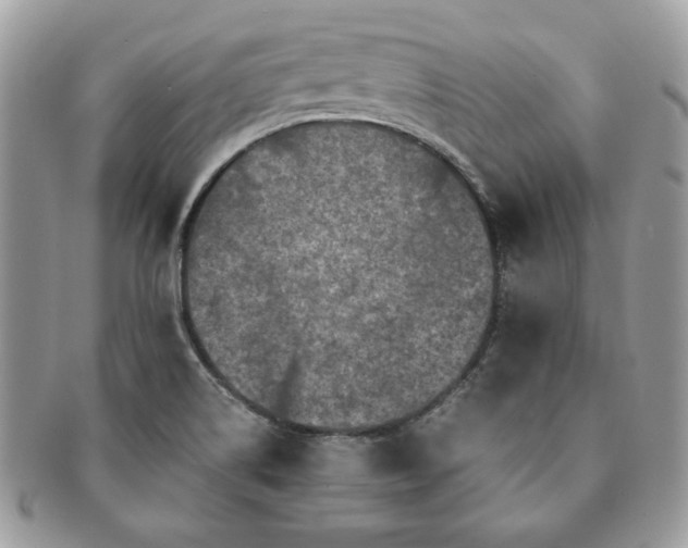 X0000091201514200708161602