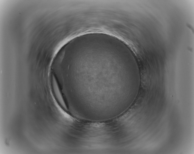X0000091201519200708161603