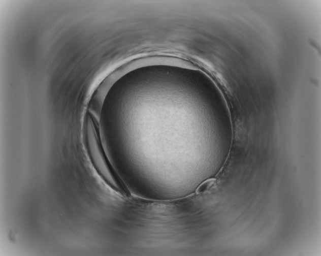 X0000091201520200708161603