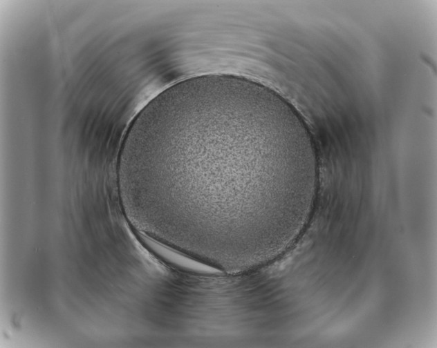 X0000091201521200708161603
