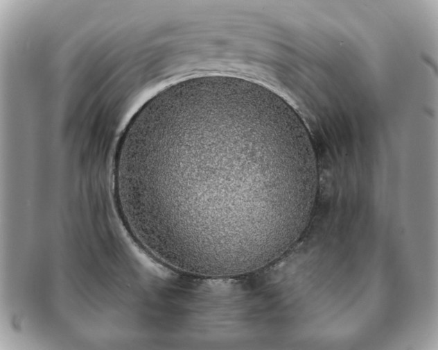 X0000091201523200708161603