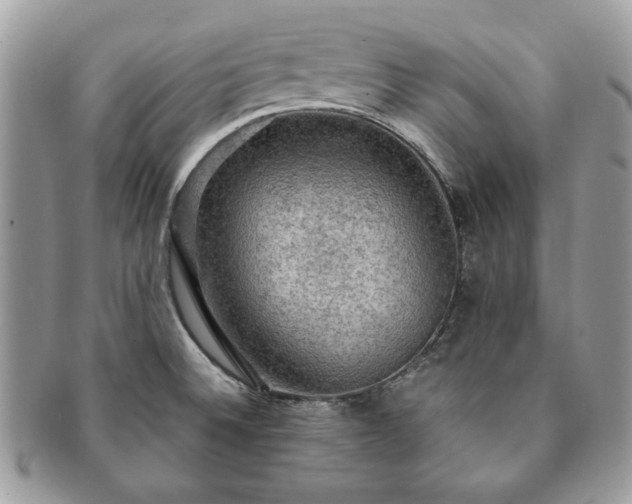 X0000091201524200708161603