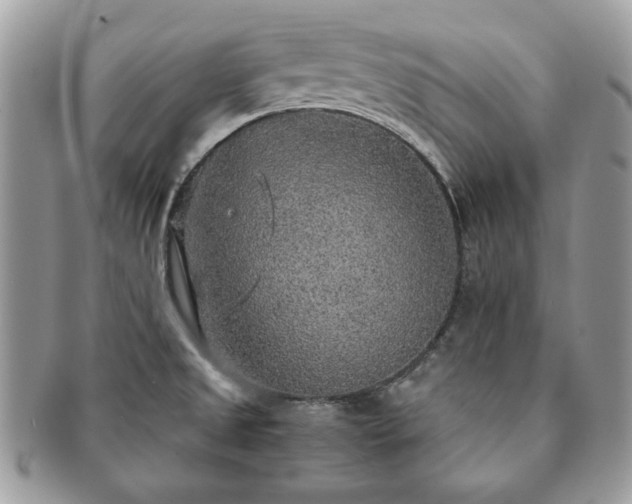 X0000091201525200708161603