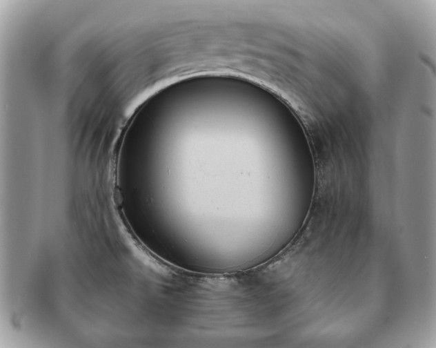 X0000091201526200708161603