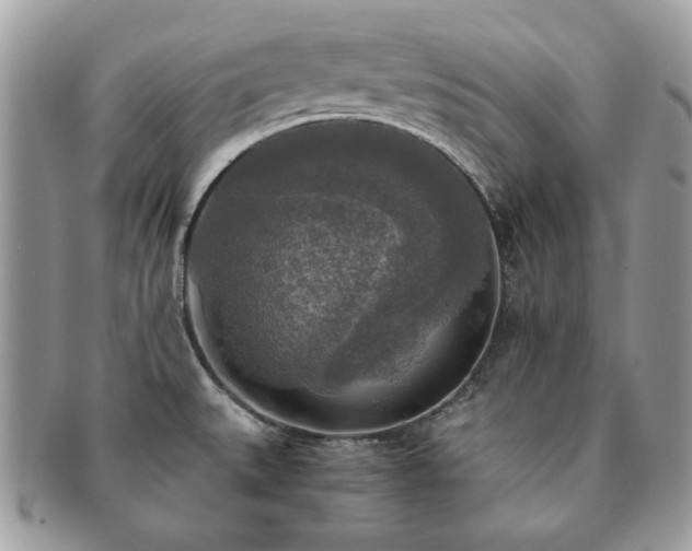 X0000091201527200708161603