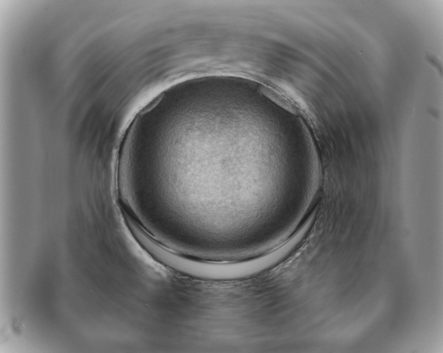 X0000091201528200708161603