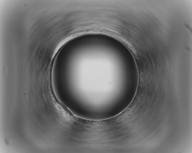 X0000091201530200708161603