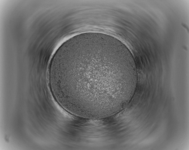 X0000091201531200708161603