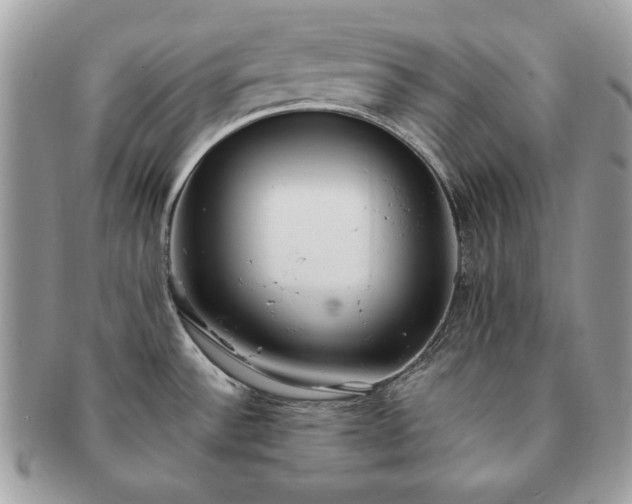 X0000091201532200708161603